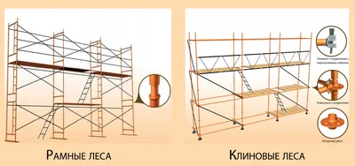 Фото красивых клиновых лесов: бесплатно скачать в форматах JPG, PNG