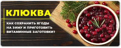 Клюква дерево: фото на айфон в стиле обоев на рабочий стол