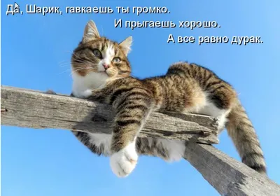 Фотографии клизм: улыбайтесь и получайте позитив!