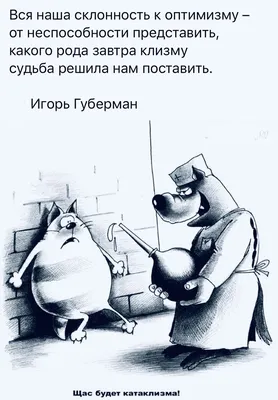 Страница смешных фото: попробуй не улыбнуться!