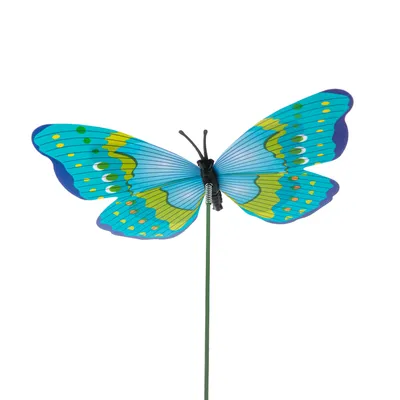 Фотография клумбы с бабочками в высоком разрешении