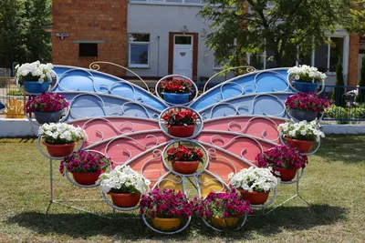 Изображение клумбы с бабочками на ваш выбор