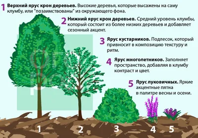 Чудесные деревянные клумбы, которые оживят ваш дом: Фотография на айфон и андроид