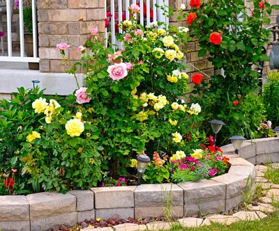 Клумбы с розами на даче: вдохновляющие изображения для вашего сада