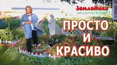 Изображения клумб с розами на даче: вдохновение для создания уникального сада