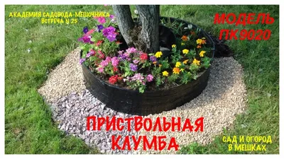 Красивые клумбы, украшающие деревья: фотогалерея