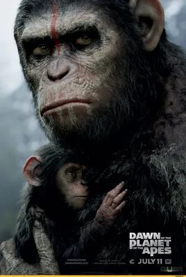 Коба планета обезьян: Путешествие в мир грациозных обитателей