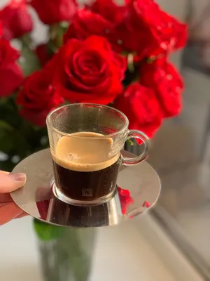 Кофе и розы: фото загадочного сочетания
