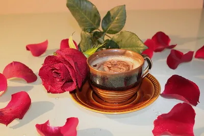 Изображения с кофе и розами: ощутите их красоту