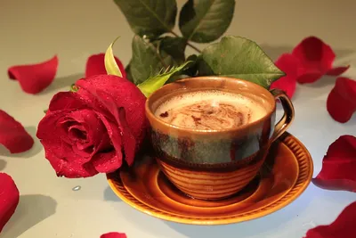 Фотографии с розами и кофейными акцентами