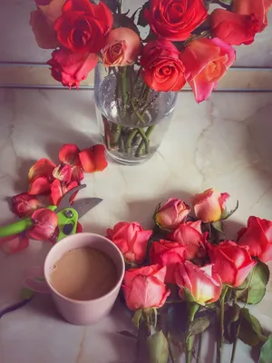 Розы и кофе в фотографиях: создайте атмосферу романтики