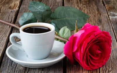 Фотографии с розами и ароматным кофе: выбирайте размер и формат