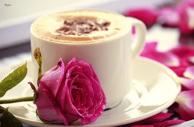 Фото с кофе и розами: наслаждайтесь моментами красоты