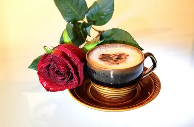 Очаровательные розы и кофейные наслаждения на одной фотографии