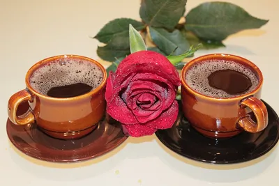 Гармоничное сочетание: фото с розами и ароматным кофе