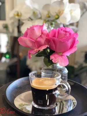 Фото с розами и кофейными акцентами: выберите подходящий формат