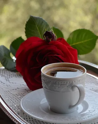 Изысканные розы и ароматный кофе в фотографиях
