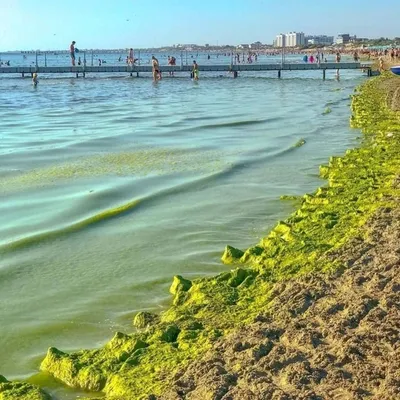 Красочные обои с пейзажами Анапского моря: выбирайте желаемый формат и размер