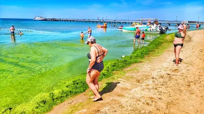 Изображения с цветущим побережьем в Анапе: фотографии, обои, бесплатно и в хорошем качестве