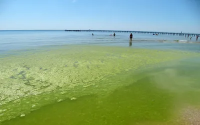 Бесплатные фото с морскими видами Анапы: скачивайте в разных форматах