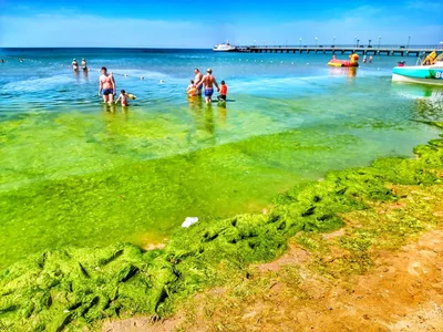 Красивые обои с цветущим морем в Анапе: доступны различные размеры и форматы