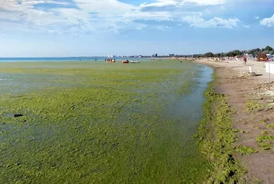 Сказочный пейзаж: море во всем своем великолепии в Анапе