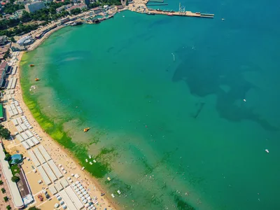 Фотографии морского побережья в Анапе: впечатляющие изображения для скачивания