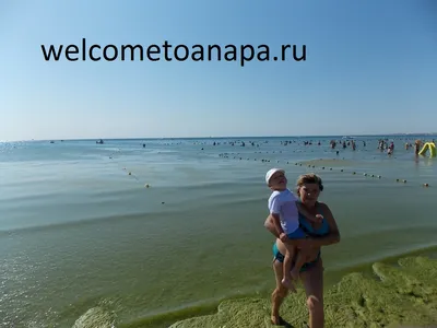 Прекрасная природа: цветение моря в Анапе в линзе камеры