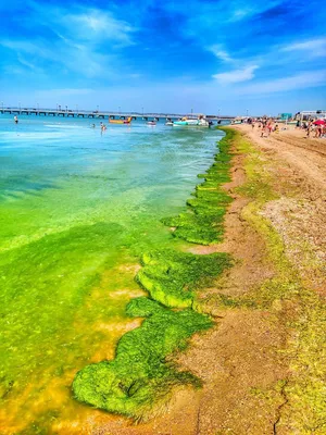 Природная красота: море в расцвете в Анапе, запечатленное на фото