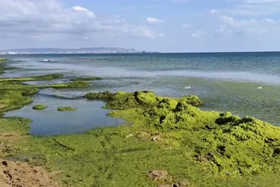 Загадочные обои на рабочий стол с морским пейзажем в Анапе