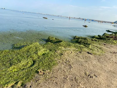 Фотографии цветущего моря в Анапе: прекрасные изображения природы