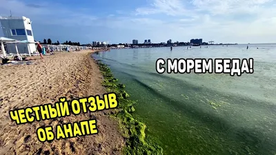 Фото цветущего моря в Анапе: арт-образы в HD