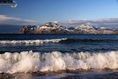 Зимний фотоальбом Коктебеля: Заснеженные деревья и море в фокусе