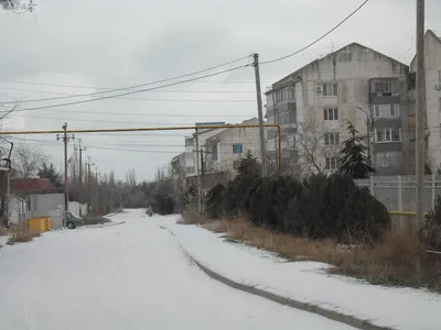 Коктебель зимой в объективе: Фотографии, сливающиеся с зимней природой