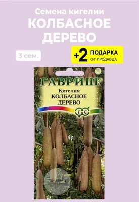 Невероятное колбасное дерево - настоящая находка для фотографов