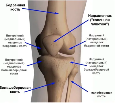 Изысканные колени человека: выберите размер и скачайте JPG