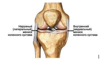 Человеческие колени: красивые фотографии в JPG