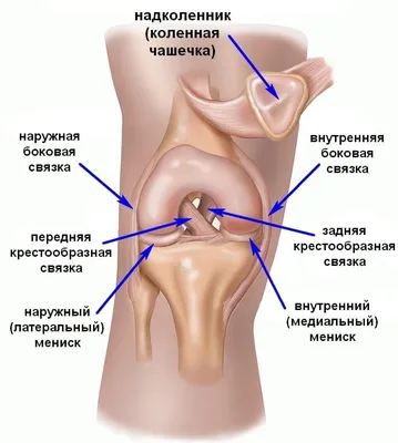 Очарование колен: выберите изображение и формат