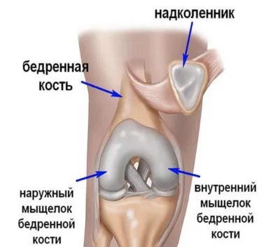 Фото человеческих колен: выбирайте формат и размер