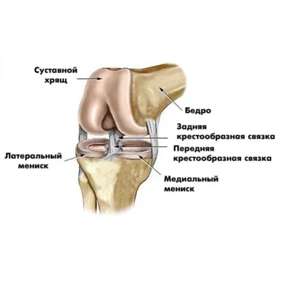 Фотографии колен: выбор размера и формата (WebP)