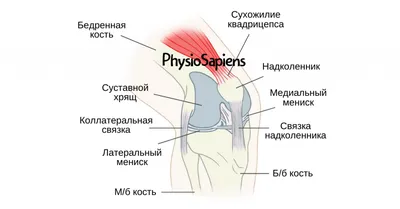 Колени в красивом свете: скачайте в формате JPG