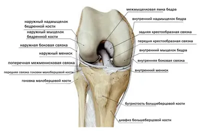 Эмоциональные фотографии колен в формате JPG