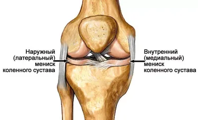 Фотографии колен человека: моменты в WebP