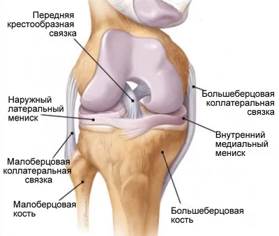 Фотография колена человека в WebP: оптимальное сжатие