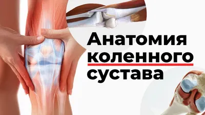 Фото колена: скачивание в формате PNG для высокой четкости