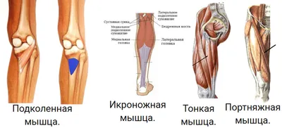 Изображение коленного сустава человека в WebP