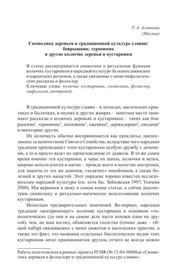 Колючие картины: фото деревьев, которые создают прекрасные моменты с природными иглами