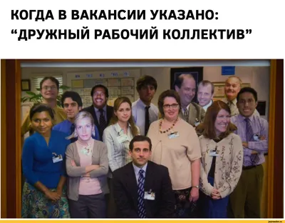 Смешные фотографии для поднятия настроения! Скачайте в JPG, PNG, WebP.