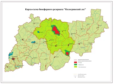 Неповторимая магия Кологривского леса на кадрах