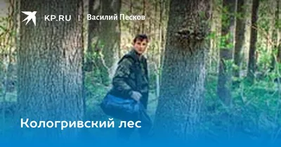 Волшебные рисунки природы: фотографии Кологривского леса